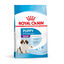 1 kg Royal Canin Puppy Giant pienso para perros, , large indicador imagen numero 1