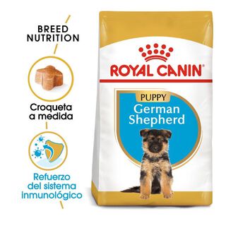 Royal Canin Puppy Pastor Alemán pienso para perros