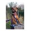 APEX DOG GEAR correa de nylon con doble asa turquesa para perros, , large indicador imagen numero 5