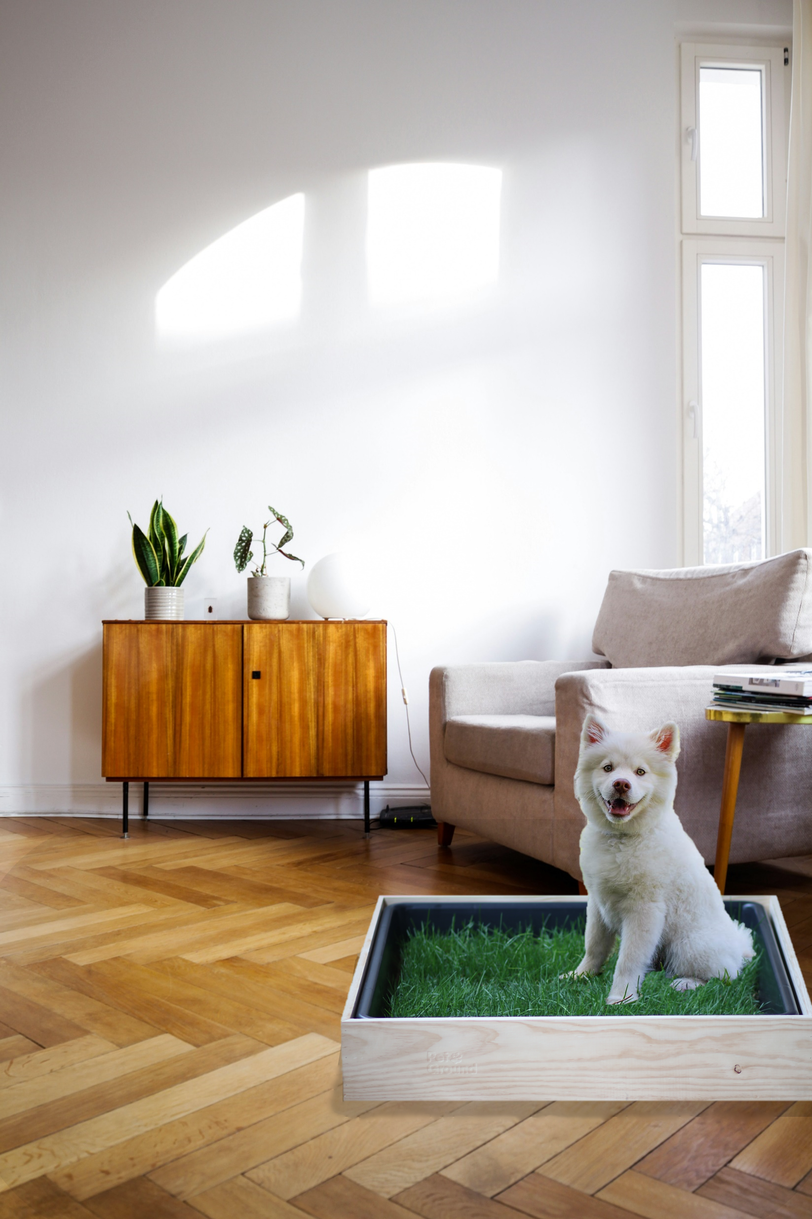 Petground Cama para Perros Caja de Madera Accesorio Mueble, , large Imagen numero 4