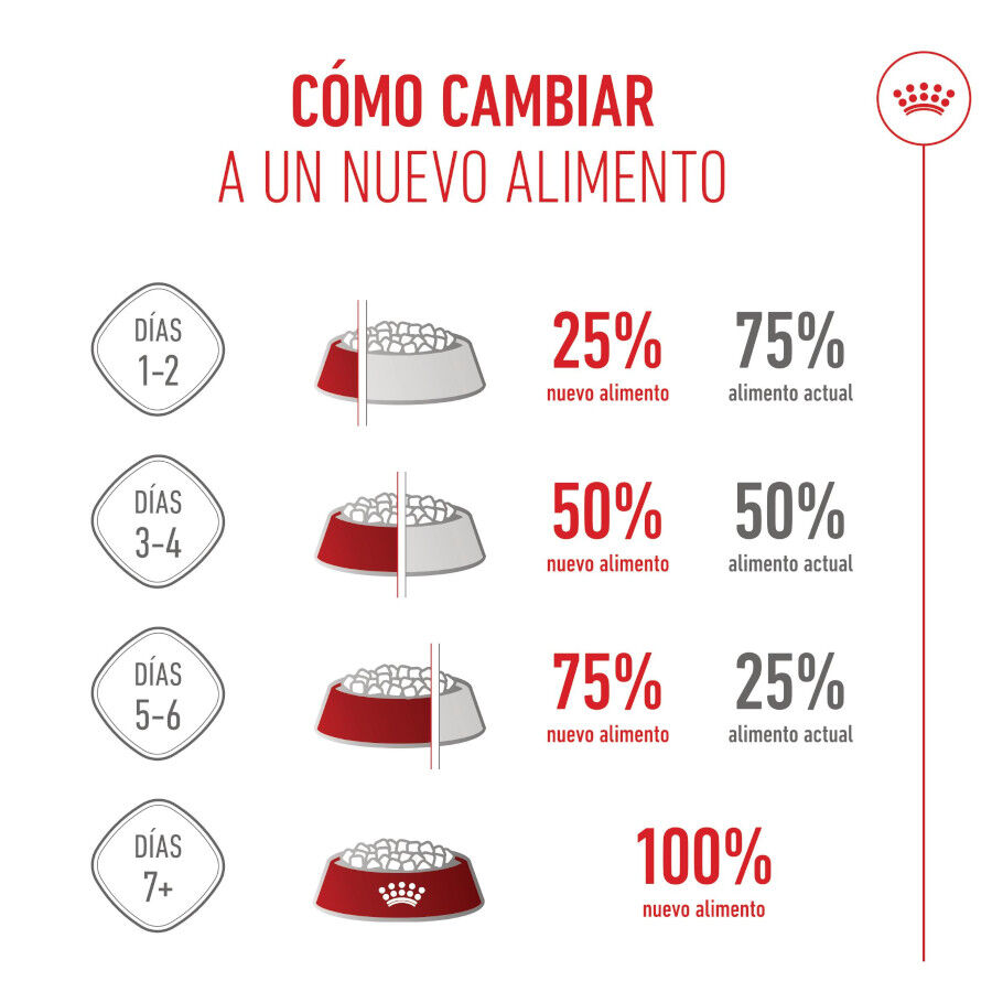 Royal Canin Starter MotheryBaby Mini pienso para perros thumbnail