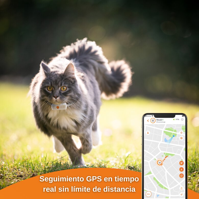 Weenect XS - GPS para gato (Blanco), , large image number null