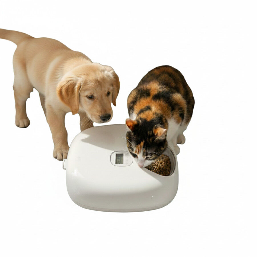 All For Paws Lifestyle Comedero Autom&aacute;tico Blanco para perros y gatos, , large Imagen numero 3