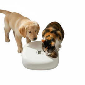 All For Paws Lifestyle Comedero Automático Blanco para perros y gatos