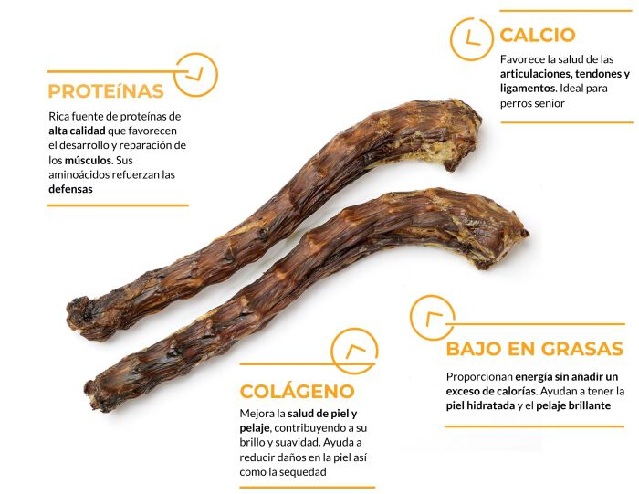 Cuellos de ganso, , large Imagen numero 2