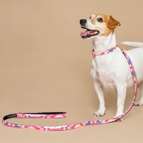 Baona collar qawra de nylon reciclado rosa para perros, , large Imagen numero 2