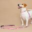 Baona collar qawra de nylon reciclado rosa para perros, , large indicador imagen numero 2