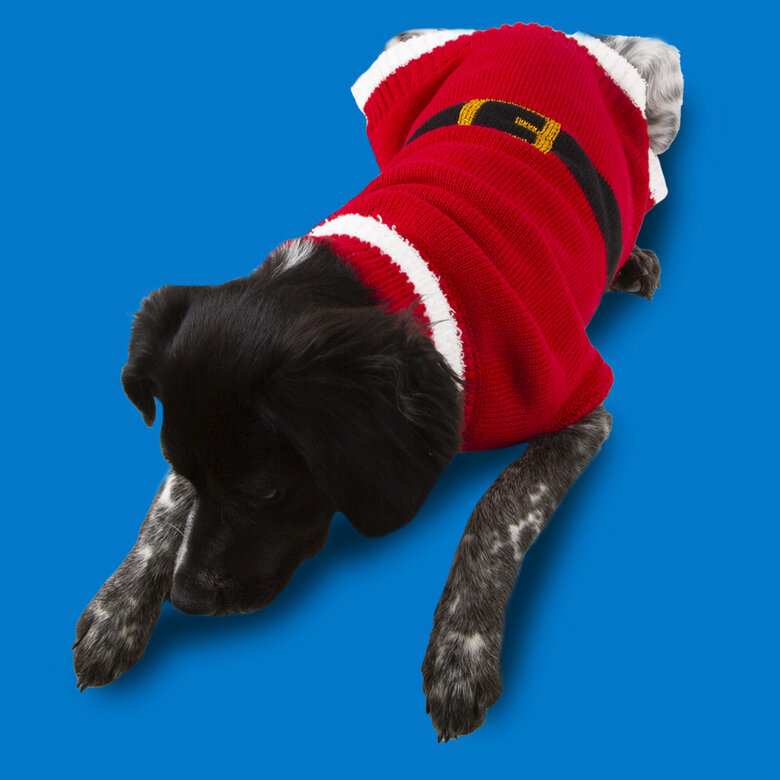 Wonder Christmas Santa jersey navideño para perros, , large image number null