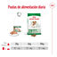 195 g Royal Canin Mini 8+ Ageing lata para perros, , large indicador imagen numero 6