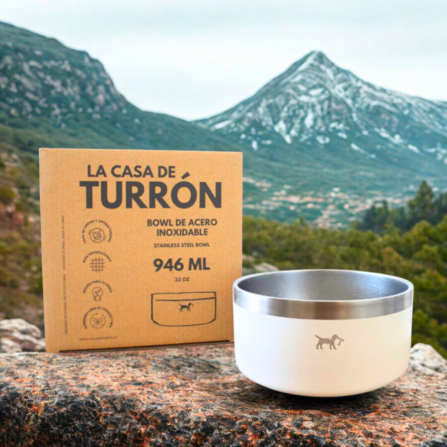 Comedero Alto Doble para Perros y Gatos | Dise&ntilde;o Ergon&oacute;mico, 2 Alturas Disponibles, Antideslizante y Varios Colores - La Casa de Turr&oacute;n, , large Imagen numero 4