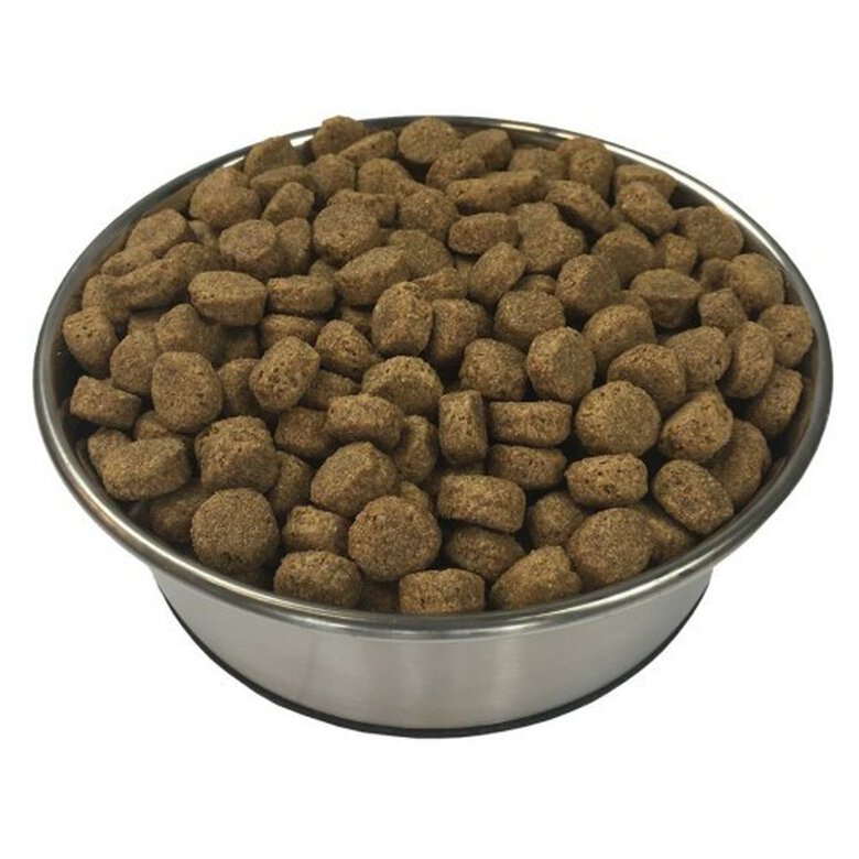 Comida seca Adult Essence para perros sabor Ternera, , large image number null