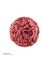 NUTRICIONE ALL MEAT CARNE DE  CABALLO  SIN HUESO 1KG PARA PERROS Y GATOS, , large indicador imagen numero 2