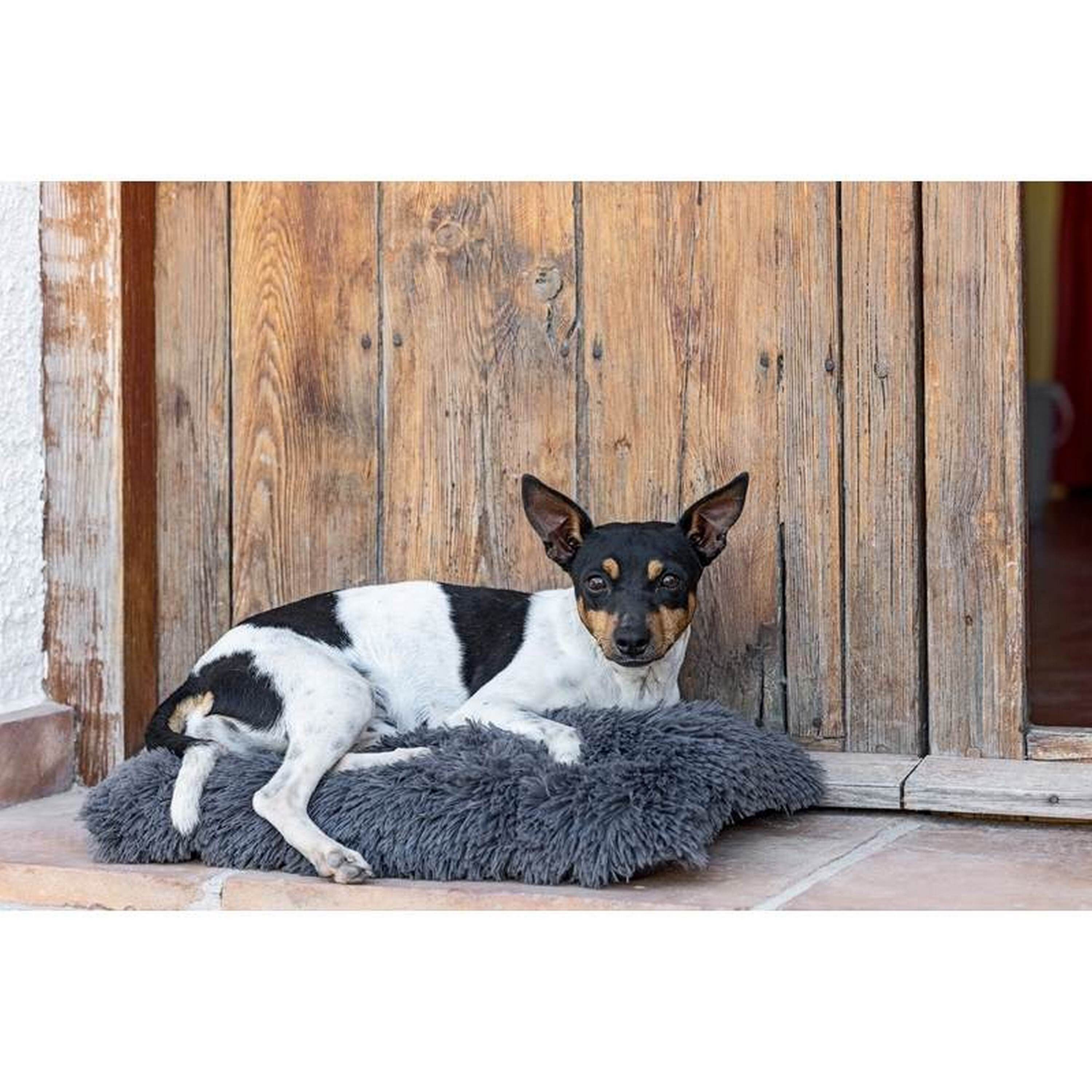 Vigar Pets Club Cama para perros thumbnail