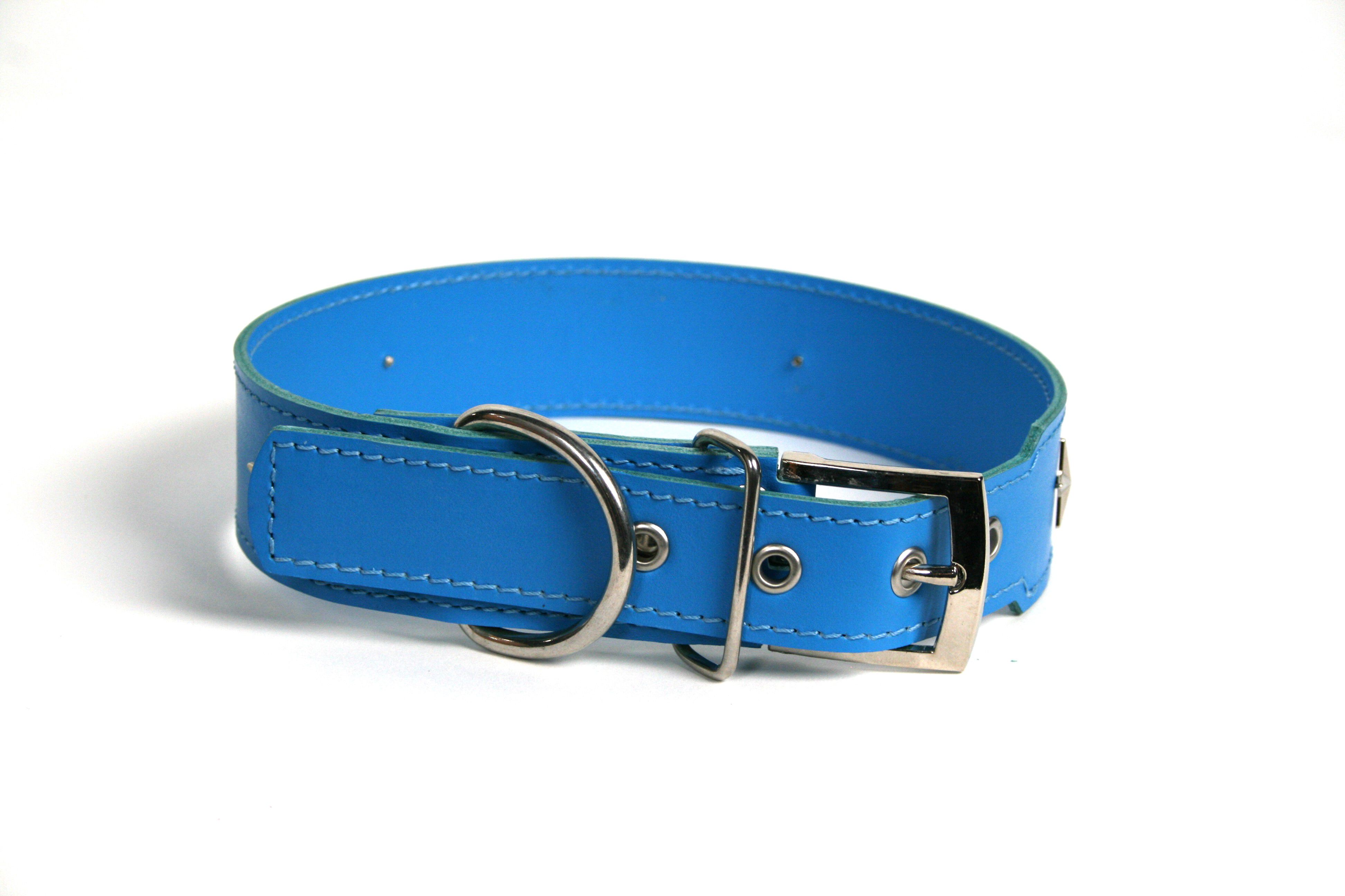 COLLAR DE PIEL AZUL CELESTE CON  ESTRELLA, , large Imagen numero 2