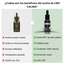 CALMA CBD Aceite de CBD Premium 5%, , large indicador imagen numero 3