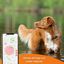 Weenect XS - GPS para perro (Negro), , large indicador imagen numero 2