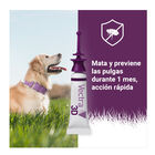 Vectra 3D Pipetas Antiparasitarias para perros, , large image number null