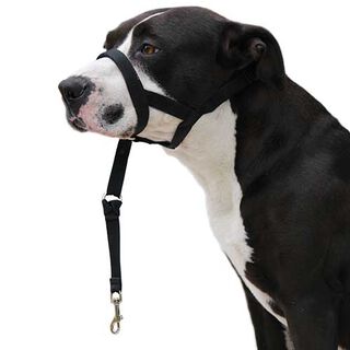 Ibañez Dogway Collar de Adiestramiento negro para perros