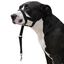 Dog guider Ibáñez Dogway DOG GUIDER IBÁÑEZ DOGWAY S, , large indicador imagen numero 1