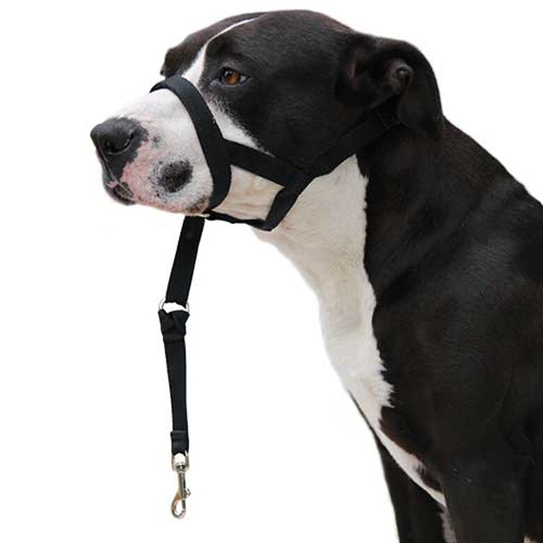 Dog guider Ibáñez Dogway DOG GUIDER IBÁÑEZ DOGWAY XS