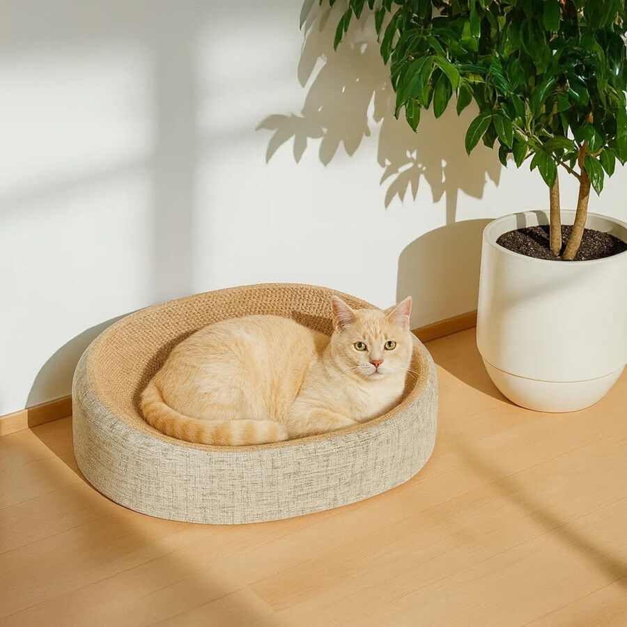 Althea Living - Rascador de sisal natural para gatos Caleta, cama y rascador, , large Imagen numero 4