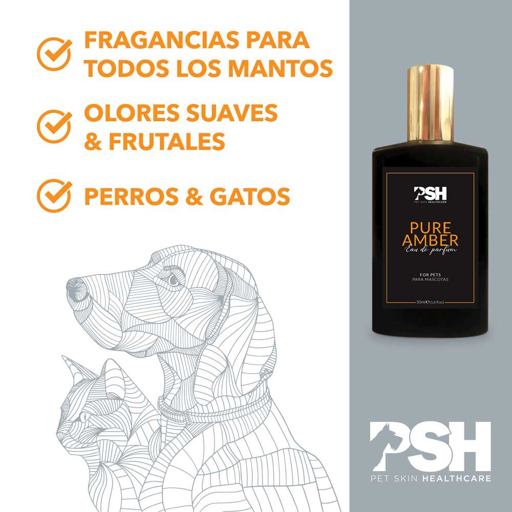 PSH Pure Amber Eau de Parfum 50 ml, , large Imagen numero 4