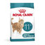 4 kg Royal Canin Ageing 11+ pienso para gatos, , large indicador imagen numero 1