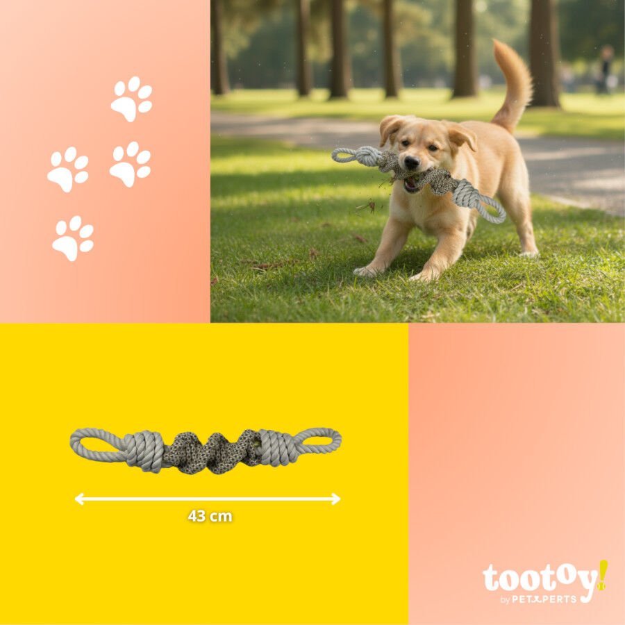 Tootoy! Mordedor de Cuerda con Nudos para perros, , large Imagen numero 4