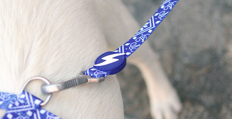 Correa para perros Dashi Zillij Peque&ntilde;a, , large Imagen numero 2