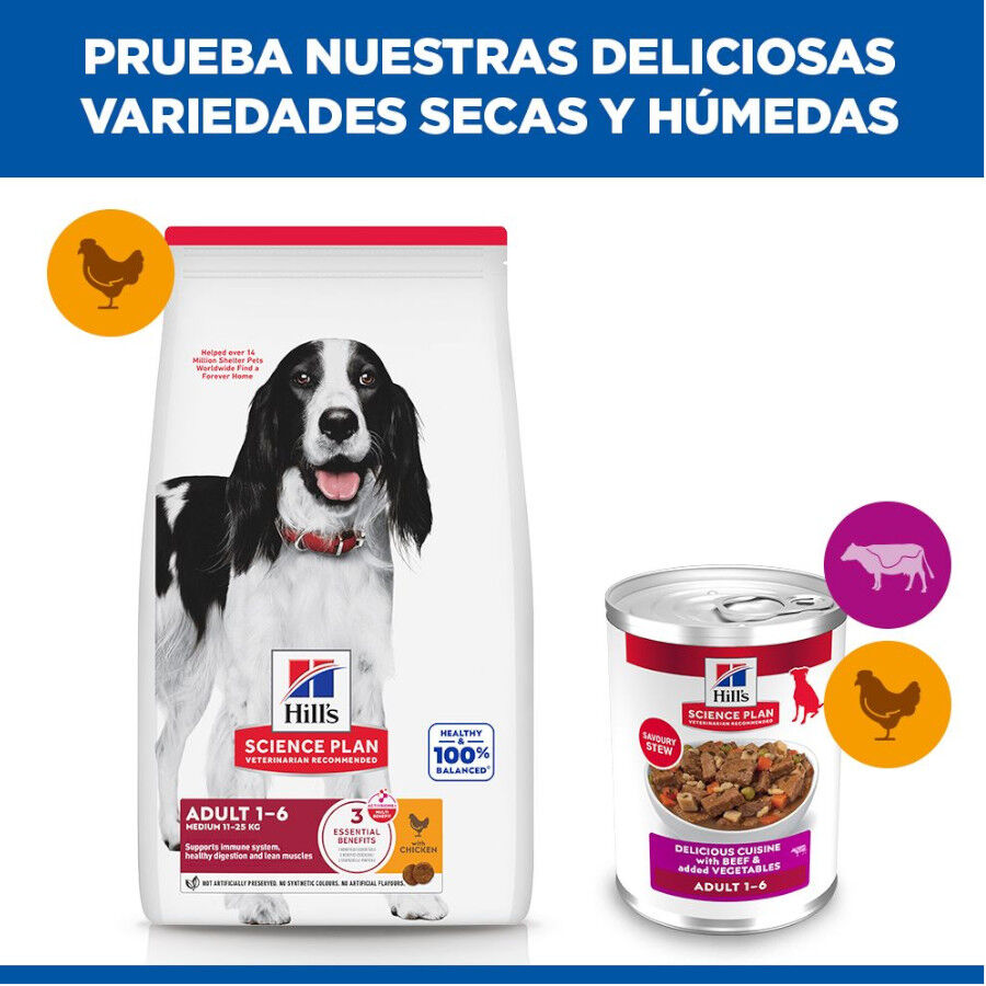 363 g Hill's Science Plan Adult Estofado con vacuno y verduras lata para perros, , large Imagen numero 5