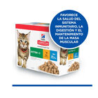 Hill's Kitten Science Plan Pollo y Pescado sobre para gatos - Multipack, , large image number null