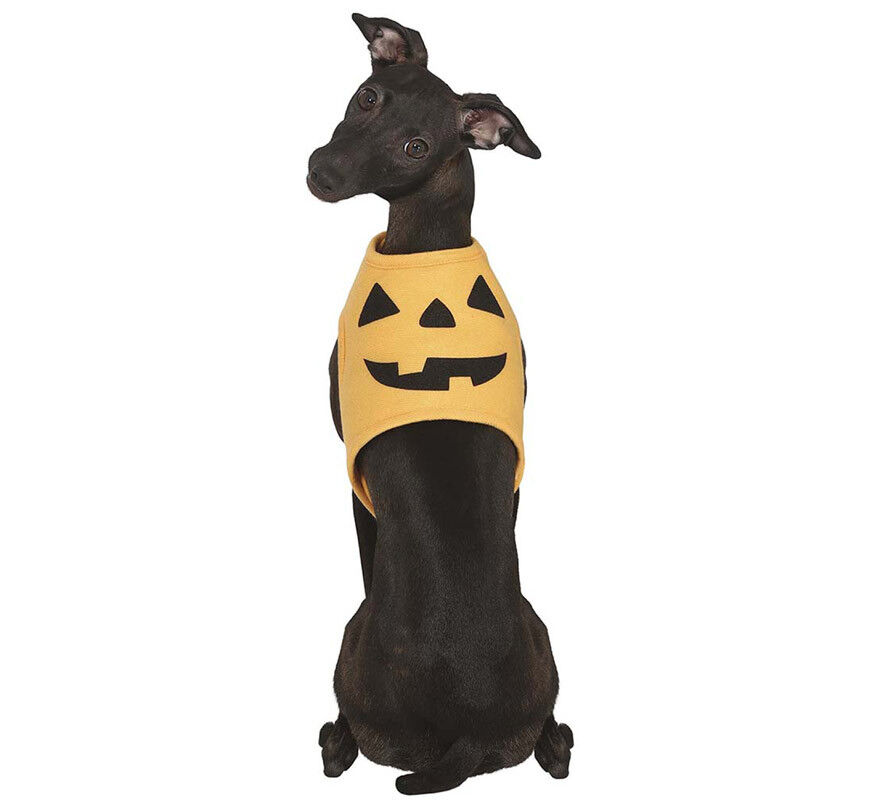 Disfraz de Calabaza Halloween para perro, , large Imagen numero 1