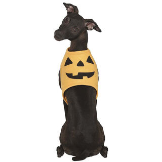Guirca Disfraz de Calabaza Halloween para perro
