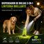 Dispensador de Bolsas de Excremento para Perro con Linterna LED | Incluye 150 Bolsas, 10 Rollos, , large indicador imagen numero 5