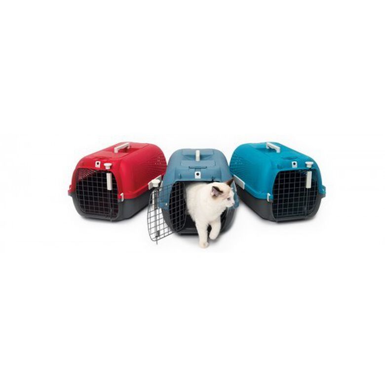 Transportin todoterreno color Turquesa thumbnail