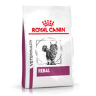 Royal Canin Veterinary Renal pienso para gatos, , large image number null