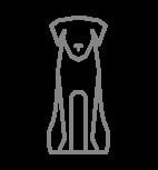 Neobreeder Adult Chicken Med-Maxi para perros thumbnail