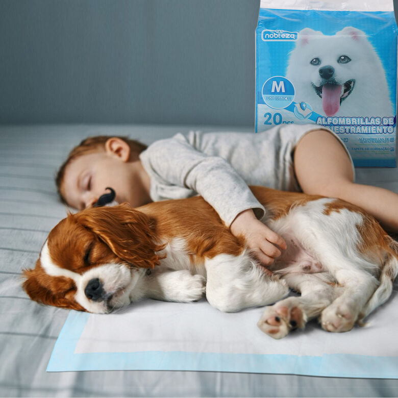 Nobleza Empapadores alfombrilla super absorbente para perros thumbnail