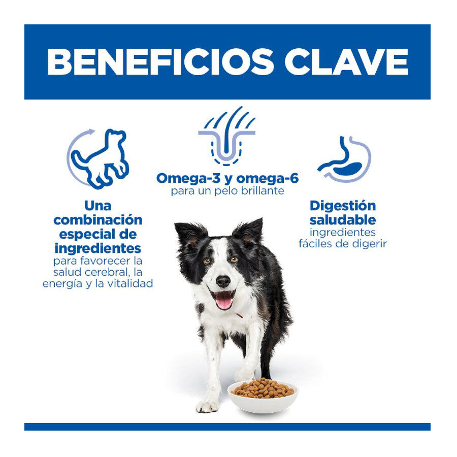 2.5 kg Hill's Science Plan Youthful Vitality Medium Adult Pollo&nbsp;pienso para perros, , large Imagen numero 3