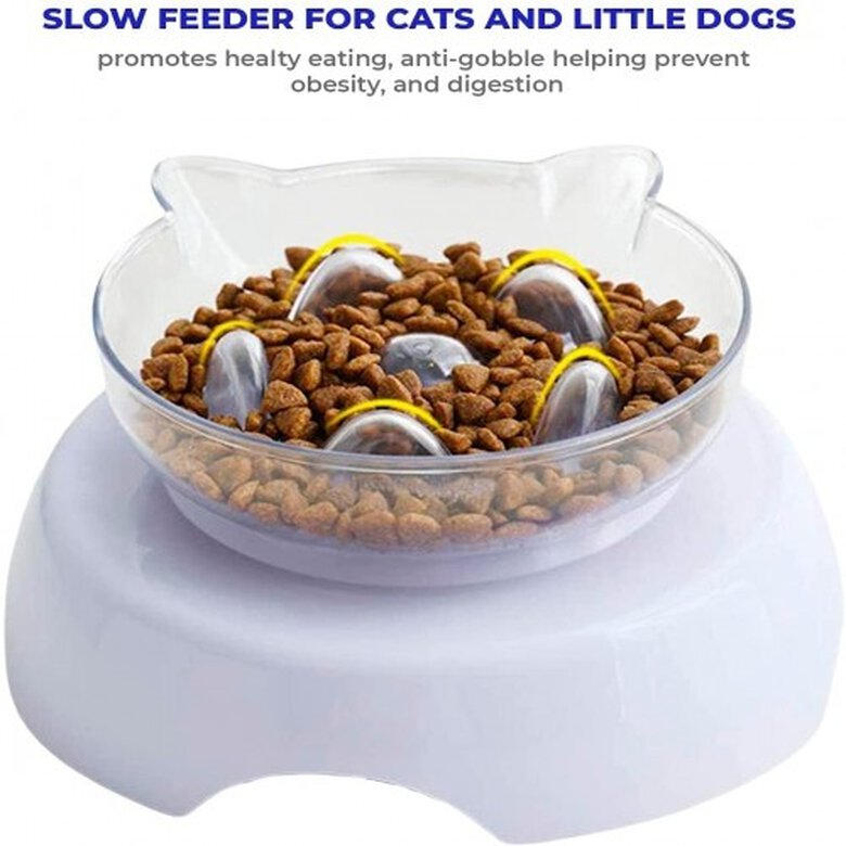 Edipets comedero individual antivoracidad para gatos, , large image number null