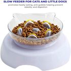 Edipets comedero individual antivoracidad para gatos, , large image number null
