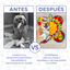 Alfombra Olfativa de Entrenamiento y Juegos para Perros y Gatos, , large indicador imagen numero 4