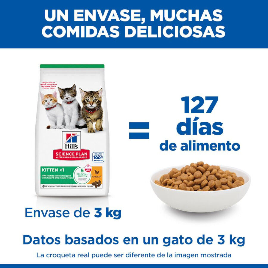 7 kg Hill's Science Plan Kitten Pollo pienso para gatos, , large Imagen numero 5
