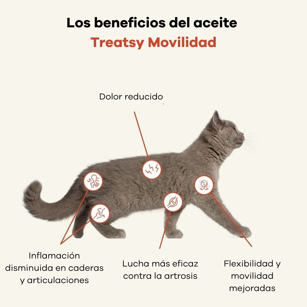 Treatsy Aceite Natural de Pescado Omega-3 &ndash; Movilidad para Perros y Gatos, , large Imagen numero 4