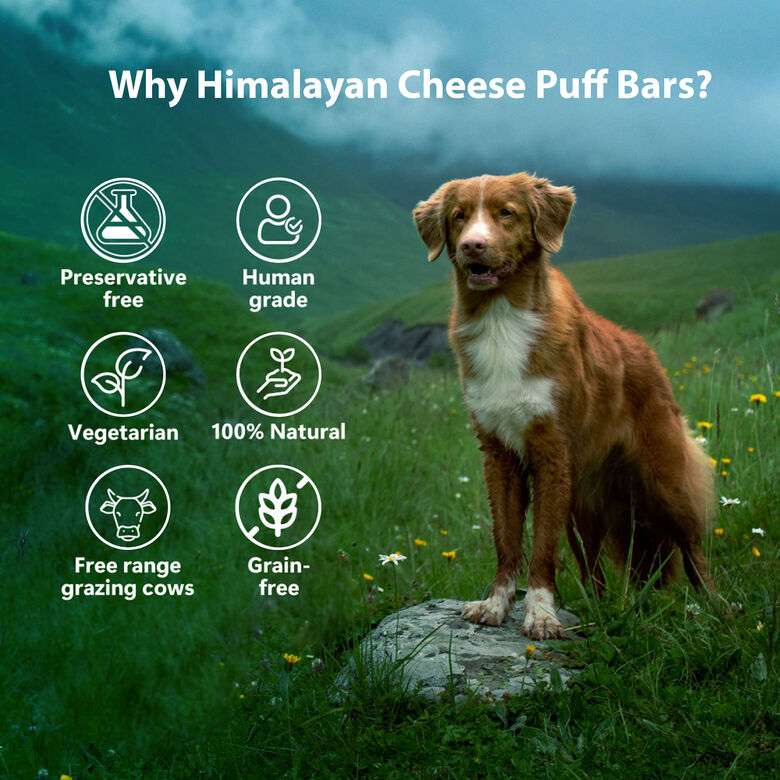 Pawfect Barras infladas de queso del Himalaya thumbnail