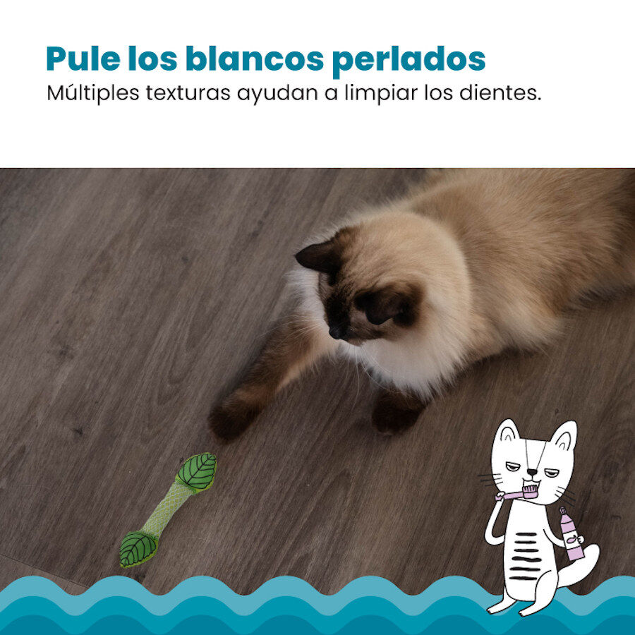 Catstages Fresh Breath Stick Peluche Dental con Menta para gatos, , large Imagen numero 5