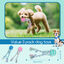 Nobleza - Cuerda de juguete para perros 100% algodón, beneficiosa para la salud mental del perro, la salud dental y la limpieza de los dientes, el mejor regalo para todo tipo de perros, Rosa, Azul y Morado - 25cm, , large indicador imagen numero 2