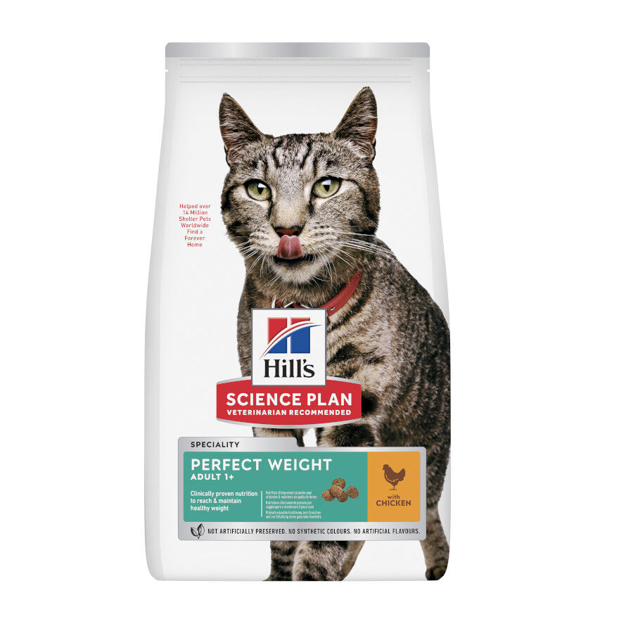 Hill's Science Plan Perfect Weight Adult pollo pienso para gatos