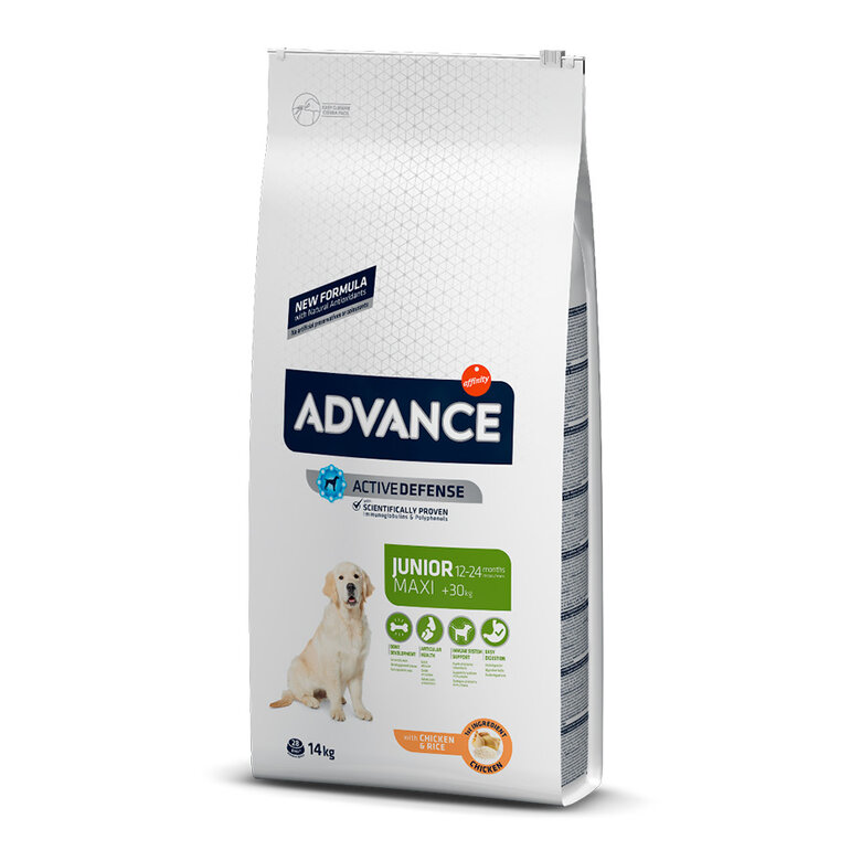 Affinity Advance Maxi Junior Pollo y Arroz pienso para perros, , large image number null
