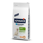 Affinity Advance Maxi Junior Pollo y Arroz pienso para perros, , large image number null